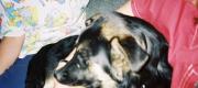 View the Album: RAVS
 2 albums