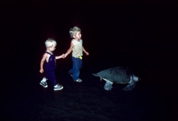 SaraIanTurtle